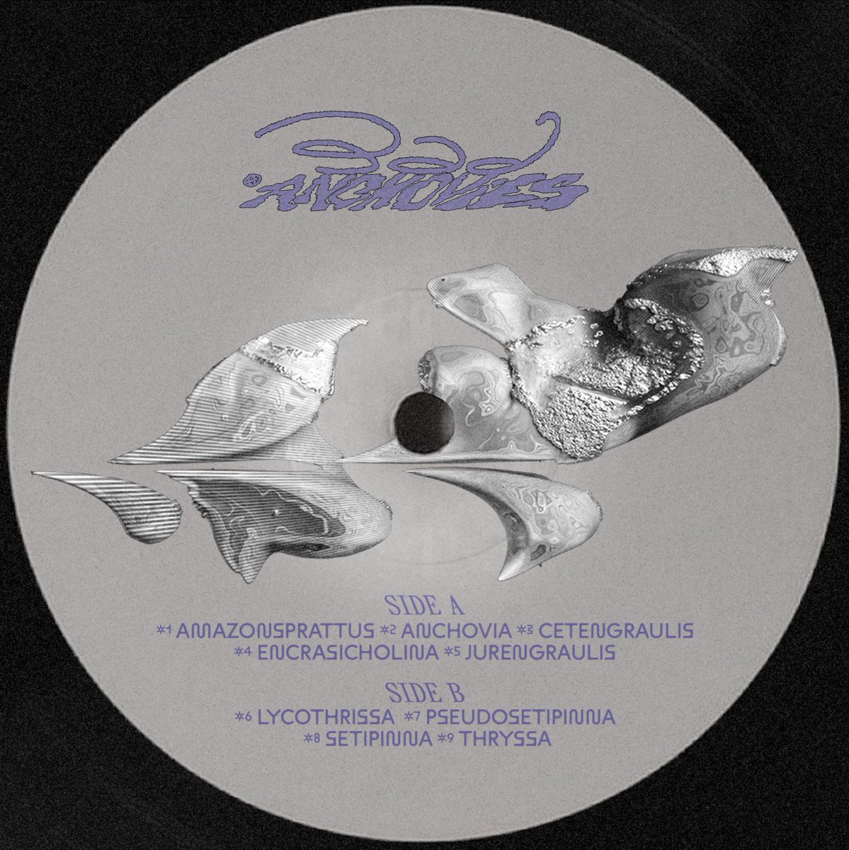 Diego Diapolo tweet media