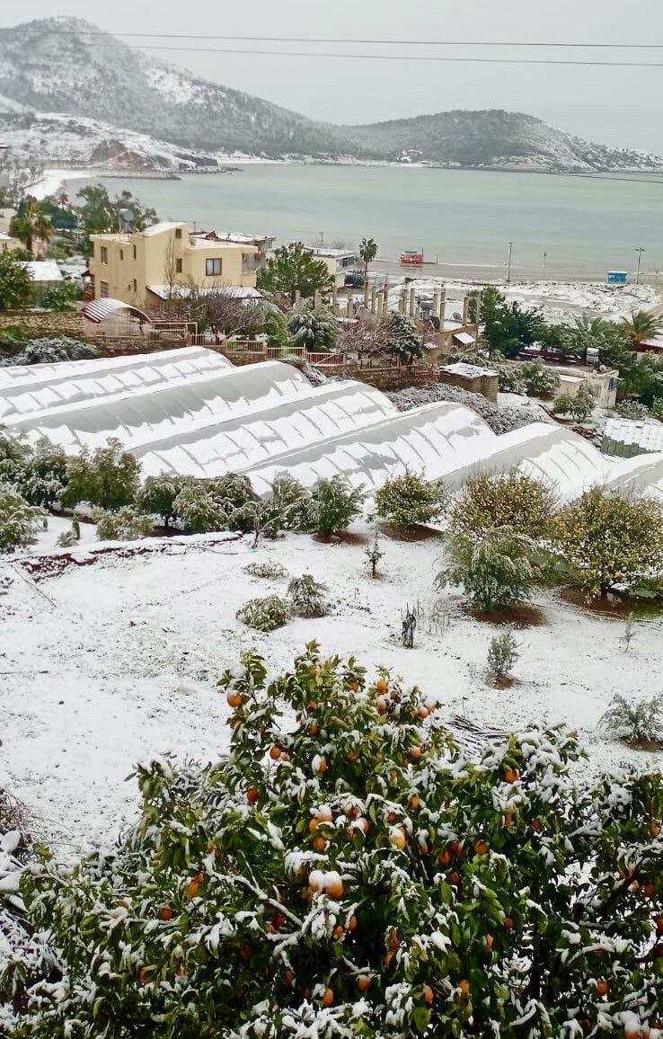 mersinliyizbiz's tweet photo. Bu şehir tam bir kartpostal ! ❄️🍊
#Mersin Aydıncık https://t.co/Mr5X0mWGen
