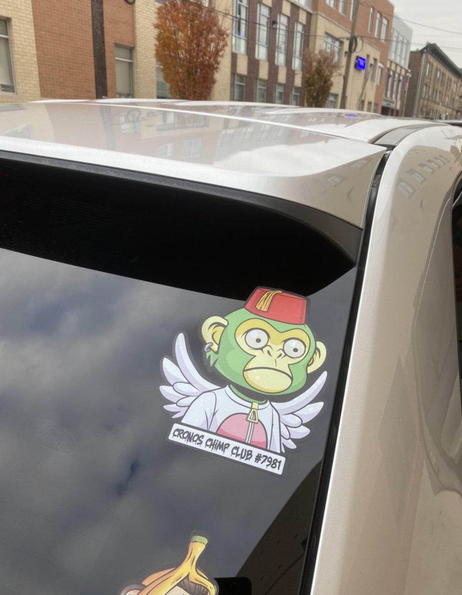 SbyN_420's tweet photo. All Monkey Business Going On Over Here LFGG #chimpstrong @CronosChimpClub https://t.co/8gY9dxg90N