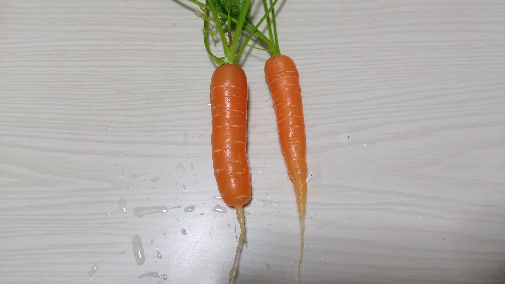 ユウ ベランダ菜園 Yuubauers Twitter