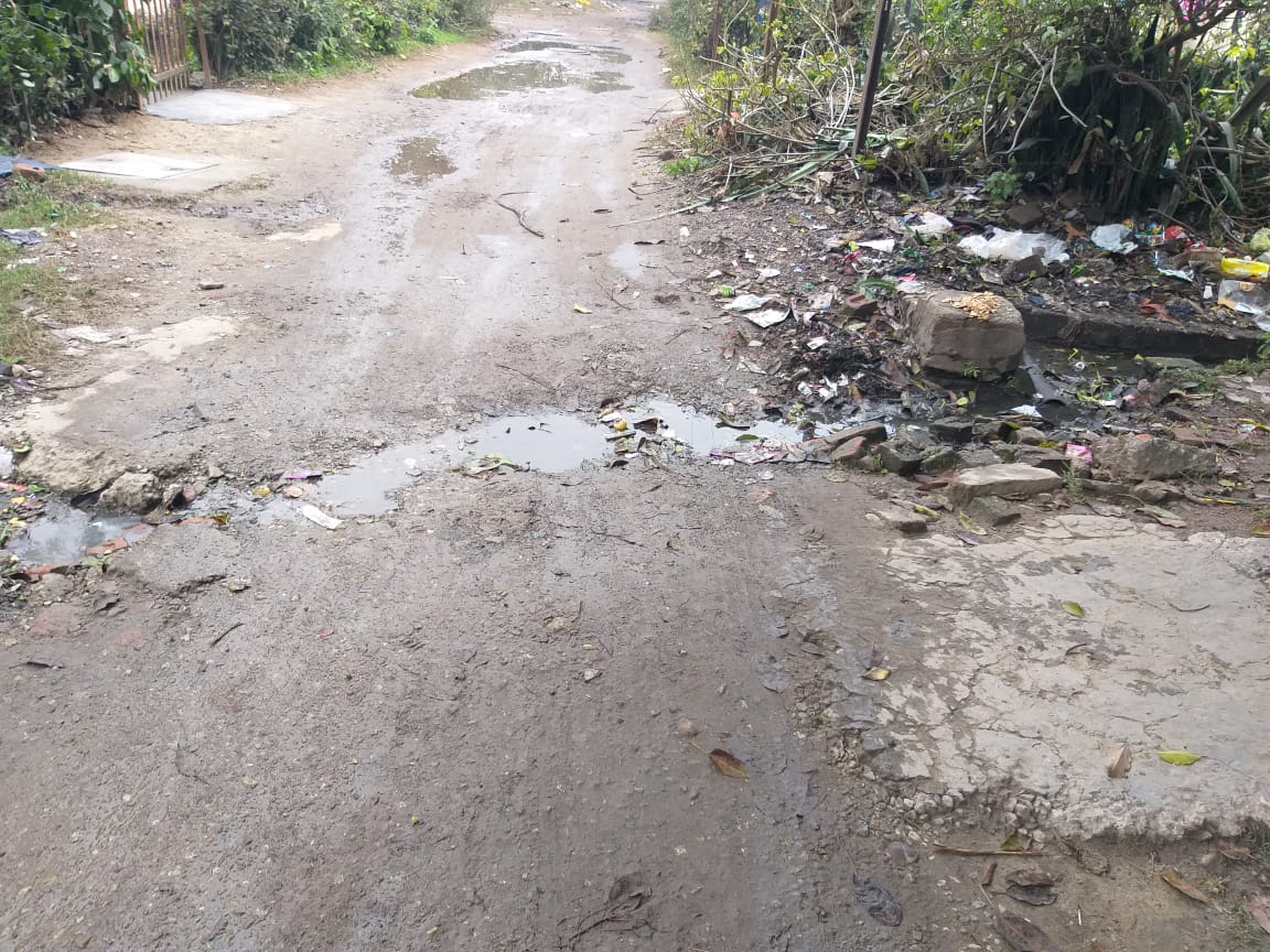 reporter tweet media