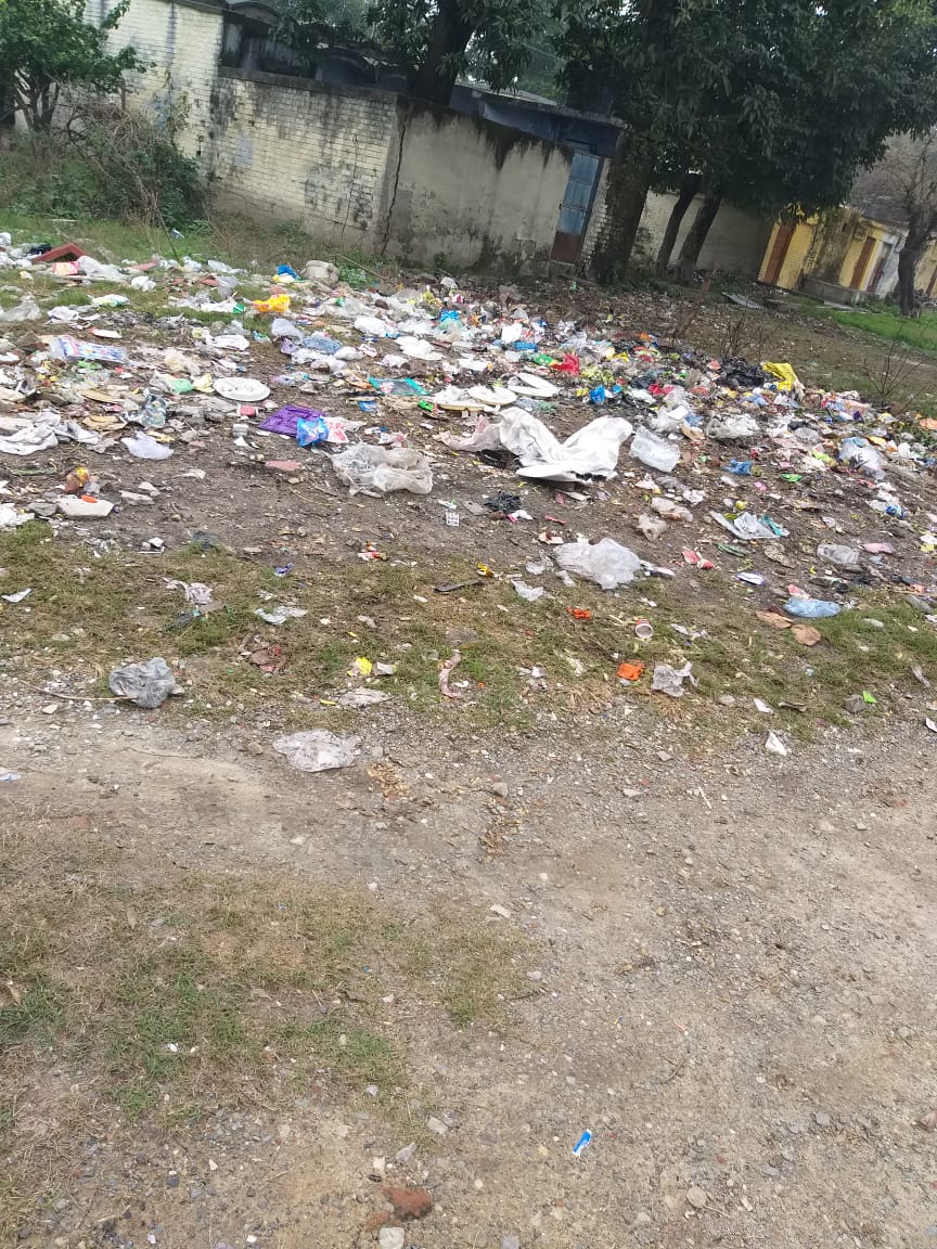 reporter tweet media