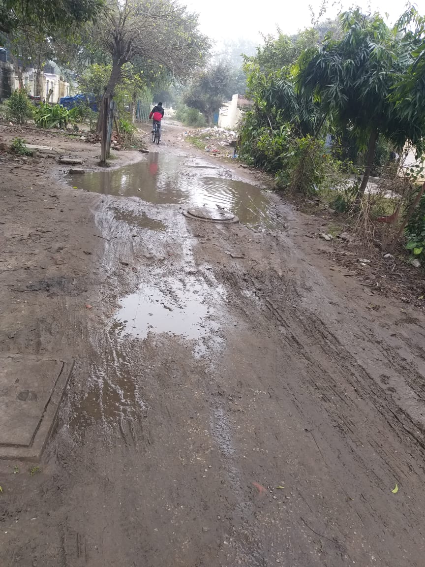 reporter tweet media