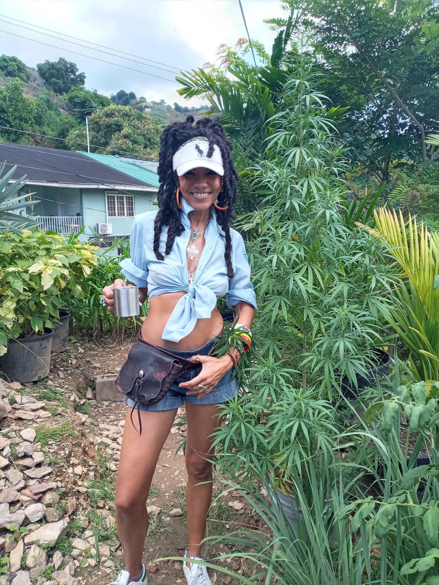 JBonterre's tweet photo. Develop a tremendous FAITH in GOD & that will give you a humble yet powerful soundly realistic FAITH in yourself. Vanity&greed are the devil's illusions. StayHumble.
🙏🏽PositivityEveryday
RASTAFARIWay❤💛💚🖤
WeSippinOur🍃#SpicedSKYWALKER
🚜#KANNABISKultivators
🌿#SPICEDNETWORK https://t.co/d10QepRlbV