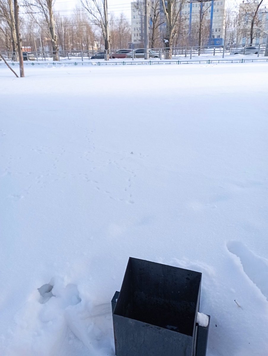 ООО "СДМ" tweet media