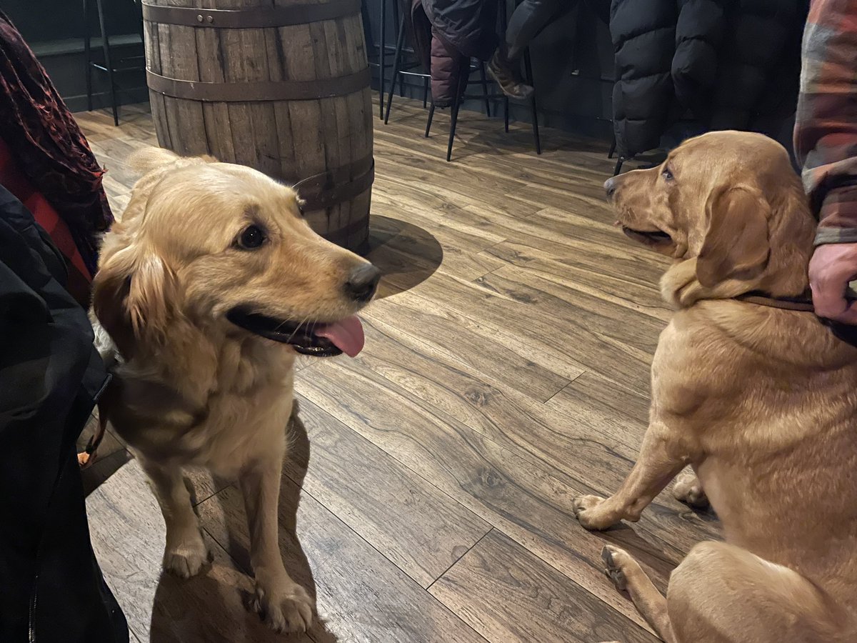 Great to see such a turn out for local breweries last night <a href="/oldeastwaytap/">Old Eastway Tap</a> for the first night of #LeithBeerWeek. Feels great to be apart of such a community. Here’s to many more years and excellent dogs.