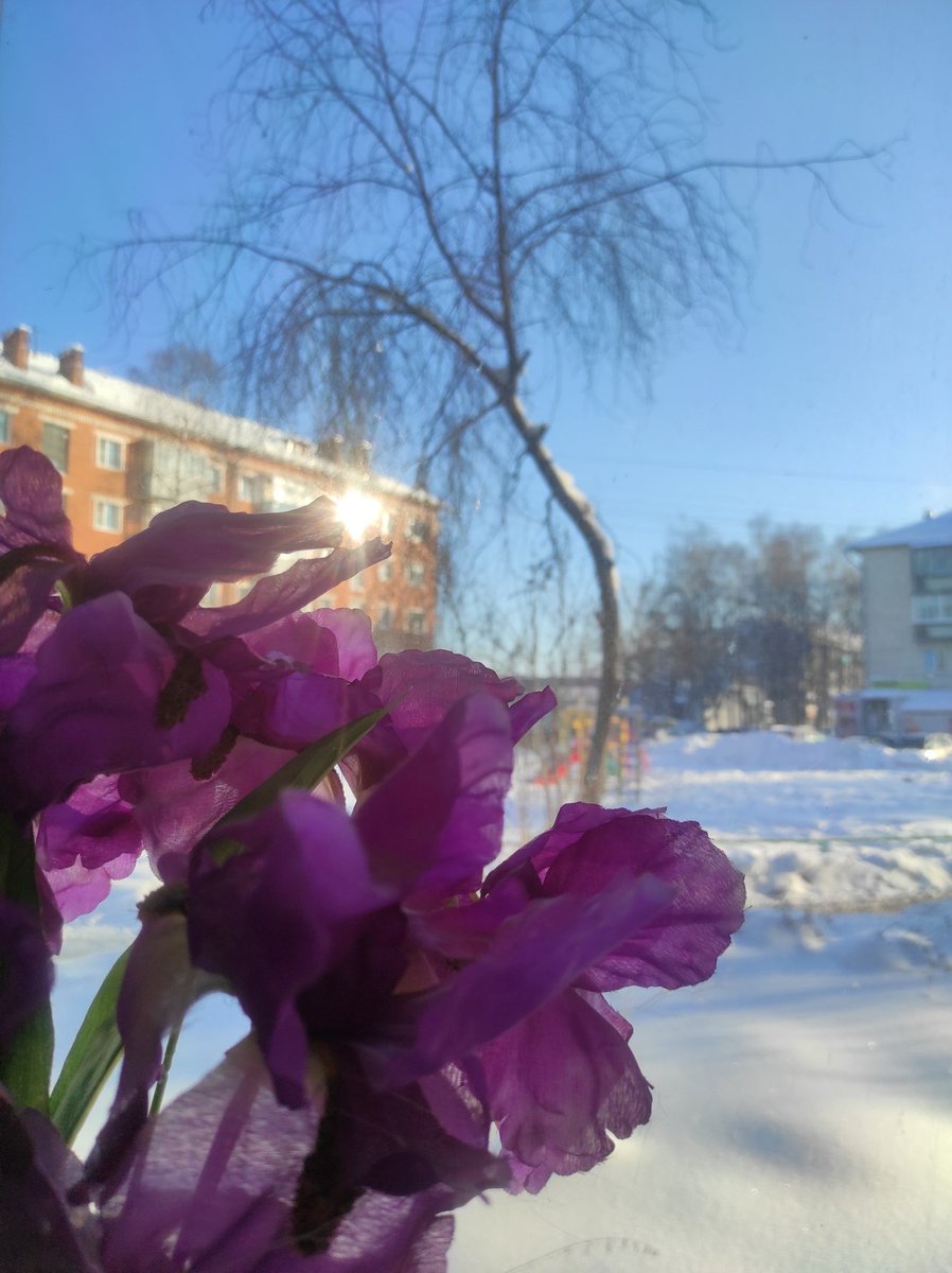 Мы учимся всю жизнь, как на своих, так и на чужих ошибках. Мы учимся всю жизнь...