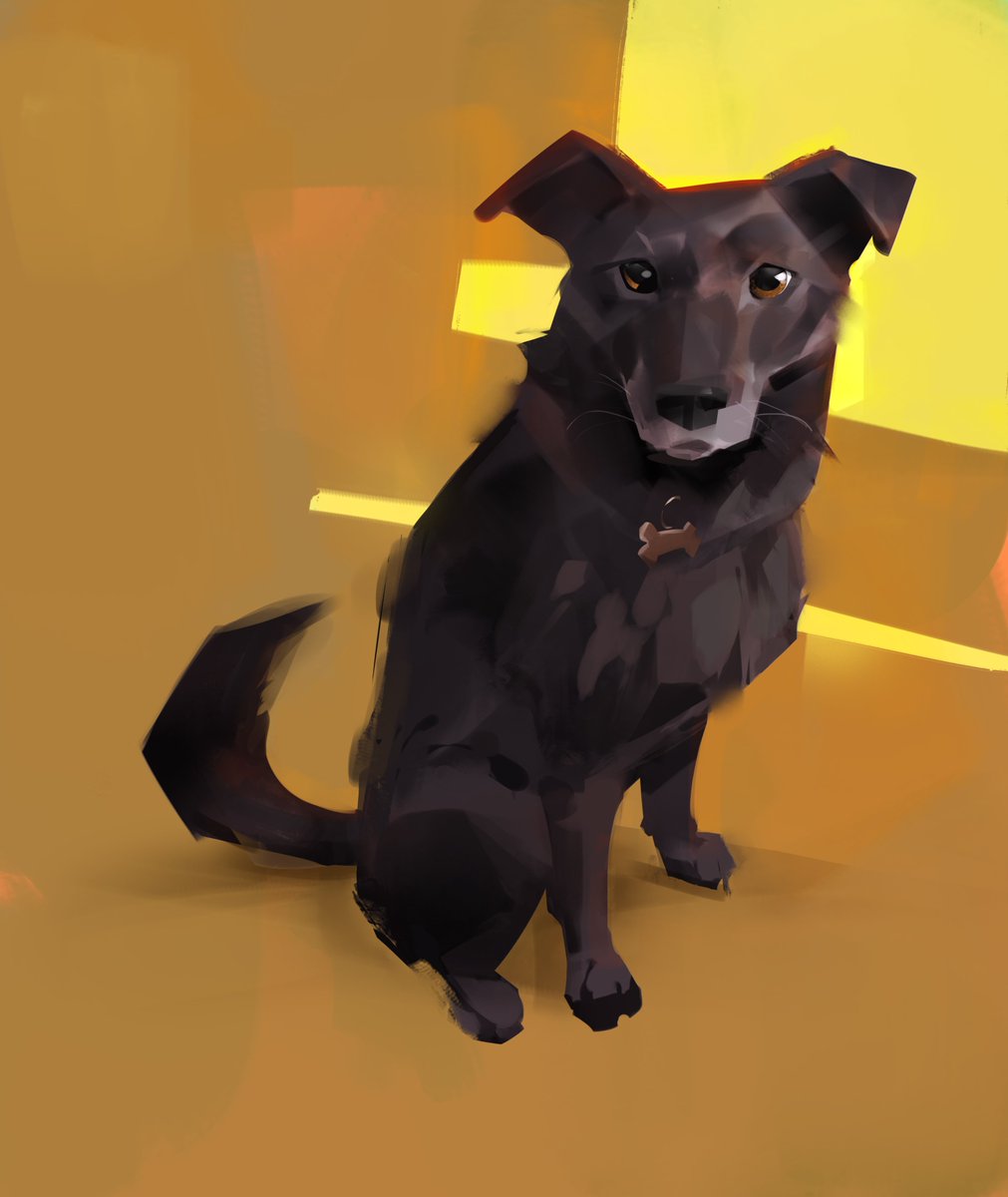 thomas mahon tweet media