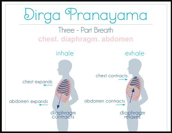 parvezbdjsr's tweet photo. How to Teach Dirga Pranayama
Introducing your students to the art of Yogic breathing with #DirgaPranayama helps them in many ways. Letβs take a deep look into Dirga #Pranayama or three-part breath. https://t.co/kDv9zO50kF https://t.co/3rA7iWUItV
