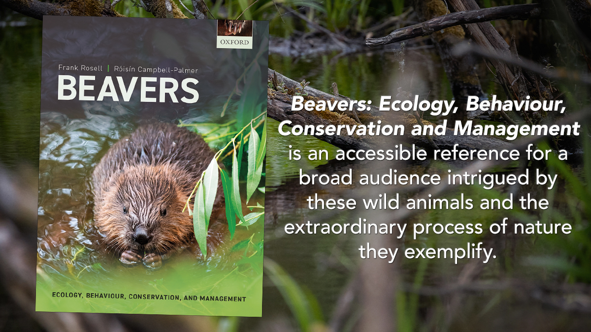 BeaverTrust's tweet photo. It's ✨PUBLICATION DAY✨ for Beaver Trust's Restoration Manager Dr @rcampbellpalmer &amp; Professor Frank Rosell 🥳

'Beavers' covers everything you've ever wanted to know about beaver ecology, behaviour, conservation &amp; management  🦫

Get your paws on it ⬇️
https://t.co/leTAcBl1WR https://t.co/Nh3dGrf8oP