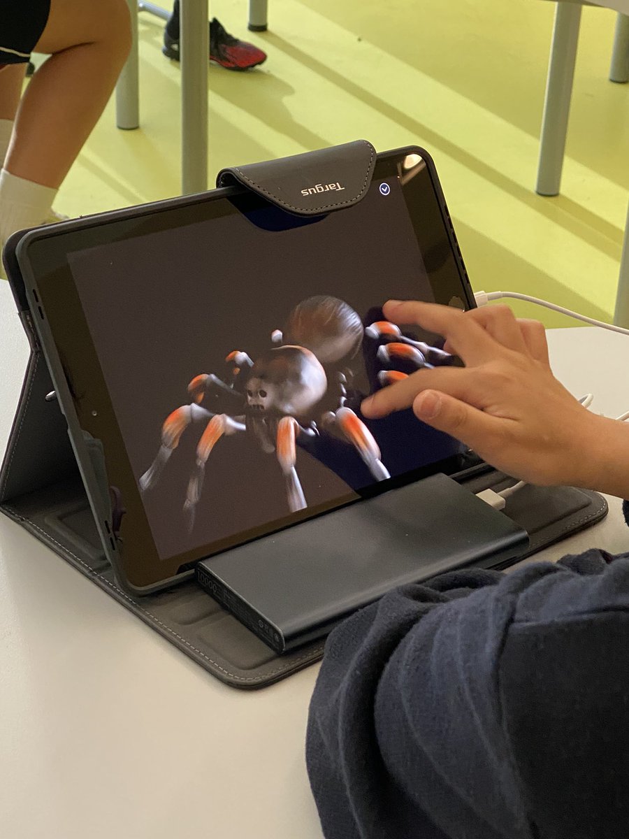 ASmithRAD's tweet photo. I had a great time in @ReptonADYr4 @MrTeasell’s class today. We looked at classifying invertebrates. I hope ‘Teasell’s World Zoo’ is a success! https://t.co/ITf46UKhOO