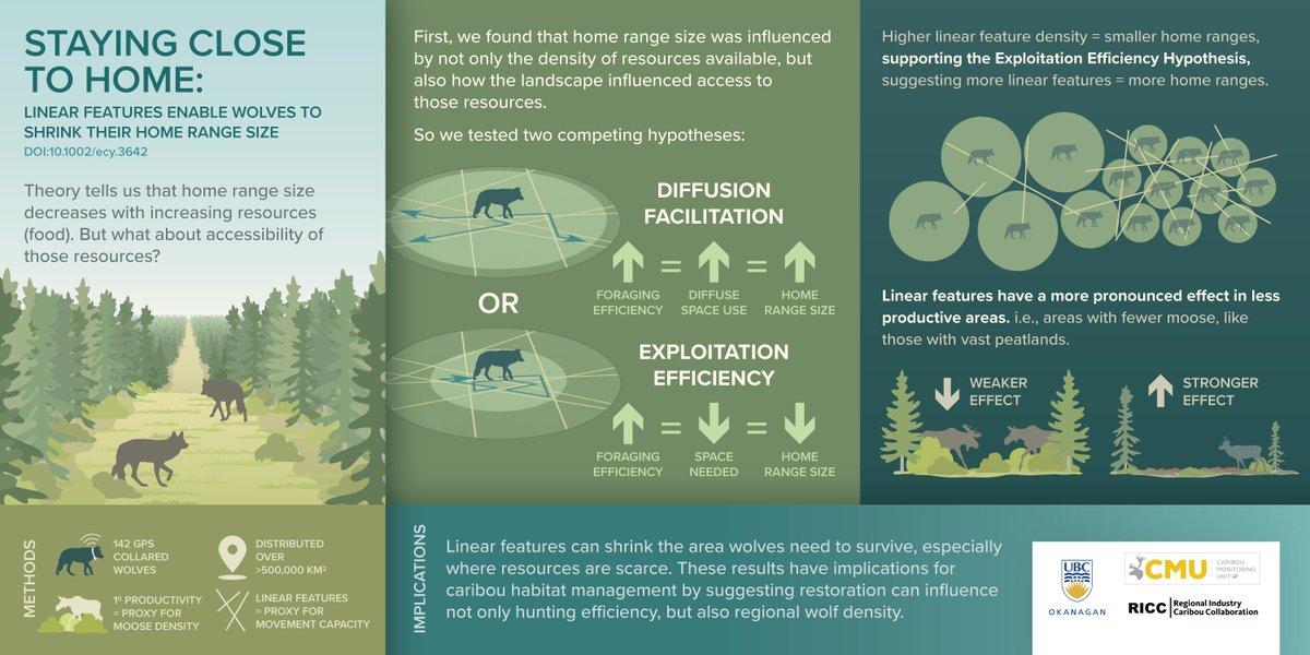 NEW PAPER ALERT! We evaluate how the ability of wolves to exploit their resources through movement interacts with resource density to influence home range size. The paper is highly couched in theory, but has strong application ties. My favorite combination! Read along.