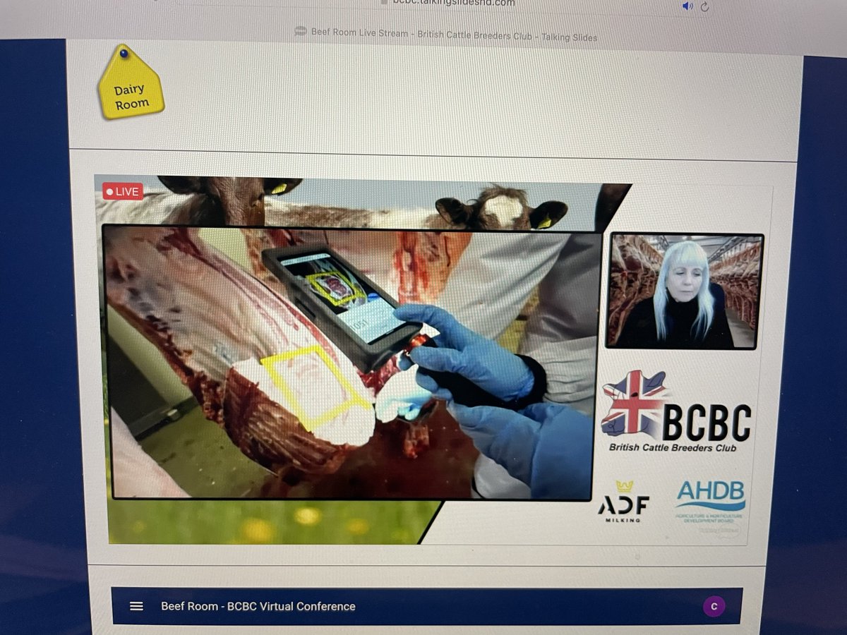 CattleBreeders's tweet photo. #bcbc22 Beef Room: The meat imaging camera gives real-time carcase information that can help improve herd genetics, says Desi. It will turn 'perceived performance into proven performance'.
#bcbc2022 #britishbeef #wagyu https://t.co/a7WpCEXYDN