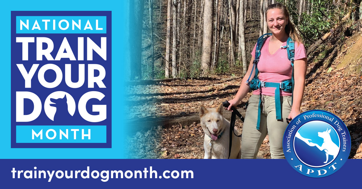 APDT's tweet photo. January is the APDT's National Train Your Dog Month! Follow us as we share ways to increase your bond with your dog. Selecting a pet that suits your lifestyle is a big decision. Learn more about what that decision entails. https://t.co/sfJYejIXLt
#NTYDM2022 https://t.co/9xpMsFFAw8