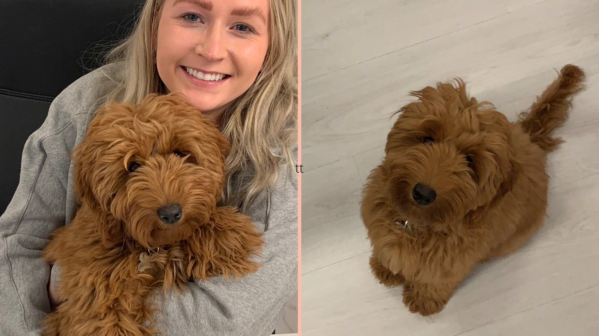 tagdigitaluk's tweet photo. ImPAWtant announcement from our furry office friend, Fergus 🐾 "Woof woof, our next podcast episode is out tomorrow. ICYMI, you can catch up with our previous episode here: https://t.co/4Jtx11bd4s I like to bark along to the catchy intro tune" 🐕

#podcast #eventmarketing #events https://t.co/Nm8jSGtw0s