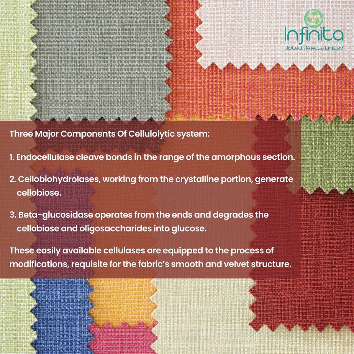 infinitabiotech's tweet photo. Bio polishing or Biofinishing is an enzymatic process carried out for the surface modification primarily during wet processing of cotton, cotton blends, viscose rayon, Tencel fabrics, and garments. https://t.co/hXAOXJ8GAy

#enzymes #enzymemanufacturer #biotechnology https://t.co/pyZS4HjO3W