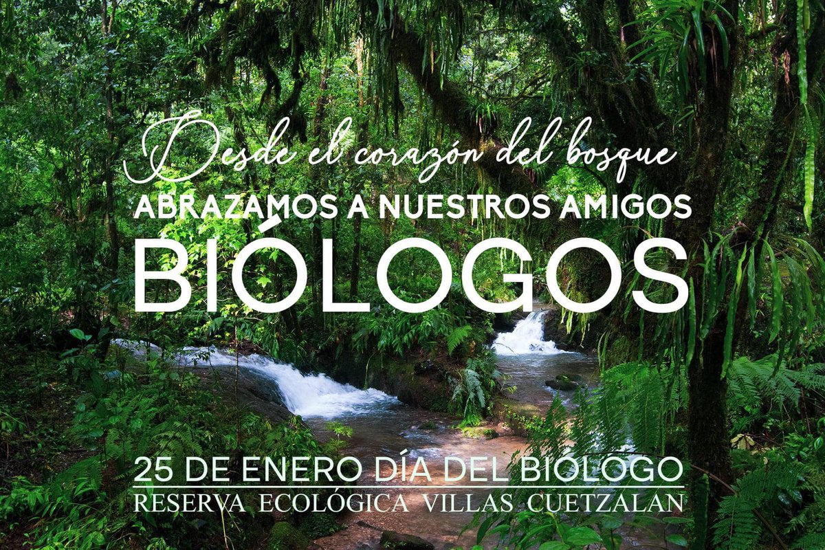VillasCuetzalan's tweet photo. Todos los integrantes en la Reserva
valoramos y agradecemos su aportación 
y enseñanzas cientÍficas.
#Biología
#DiaDelBiologo 
#bajoimpactoambiental
#bosquemesofilodemontaña https://t.co/d5SfbwWOce