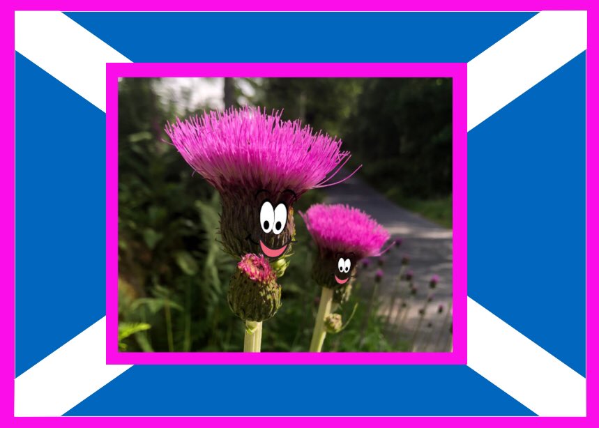 Wishing everyone, near or far, a very happy Burns night. #BurnsNight #haggis #burnsnight2022 #Scotland