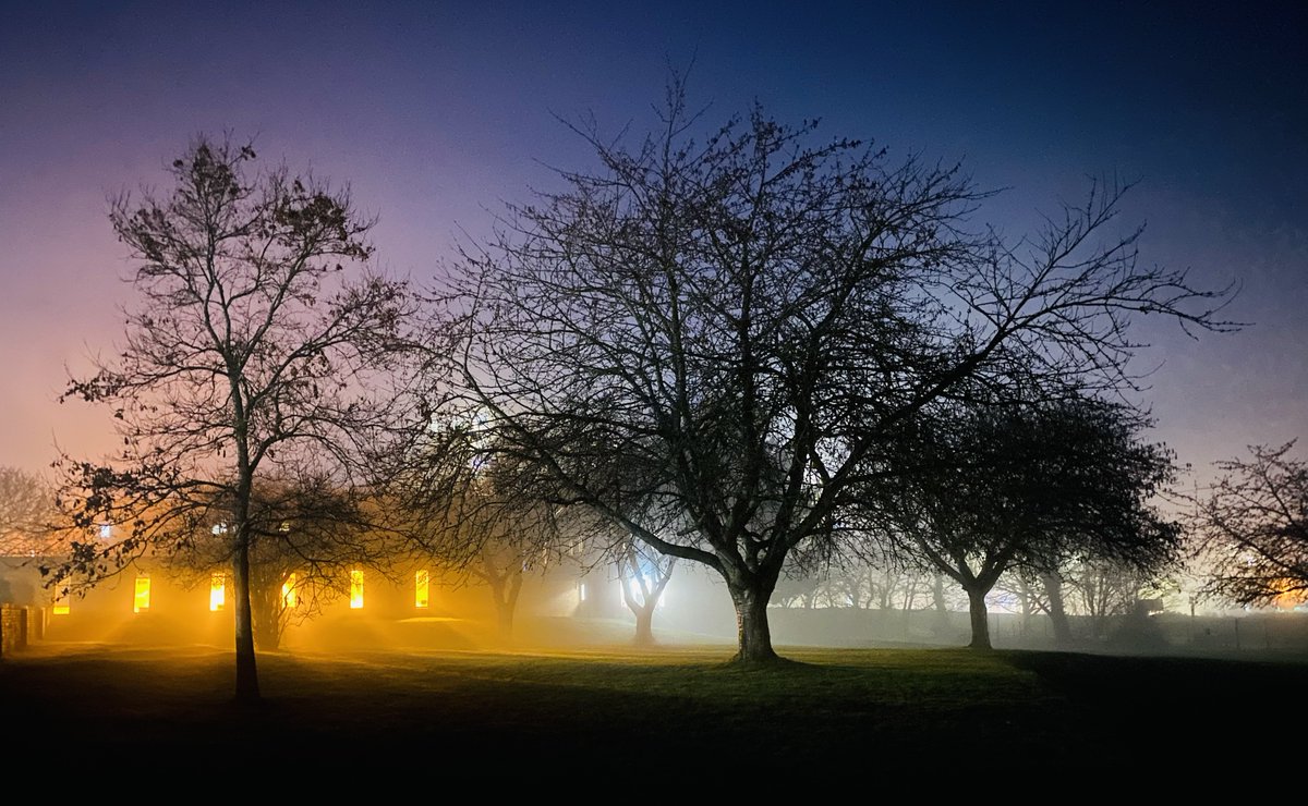 AshfordSchool's tweet photo. How stunning is this photo, taken by one of our current Year 11 students, Patrick, featuring the Orchards at the Senior School through the fog! https://t.co/la2ncBINYt