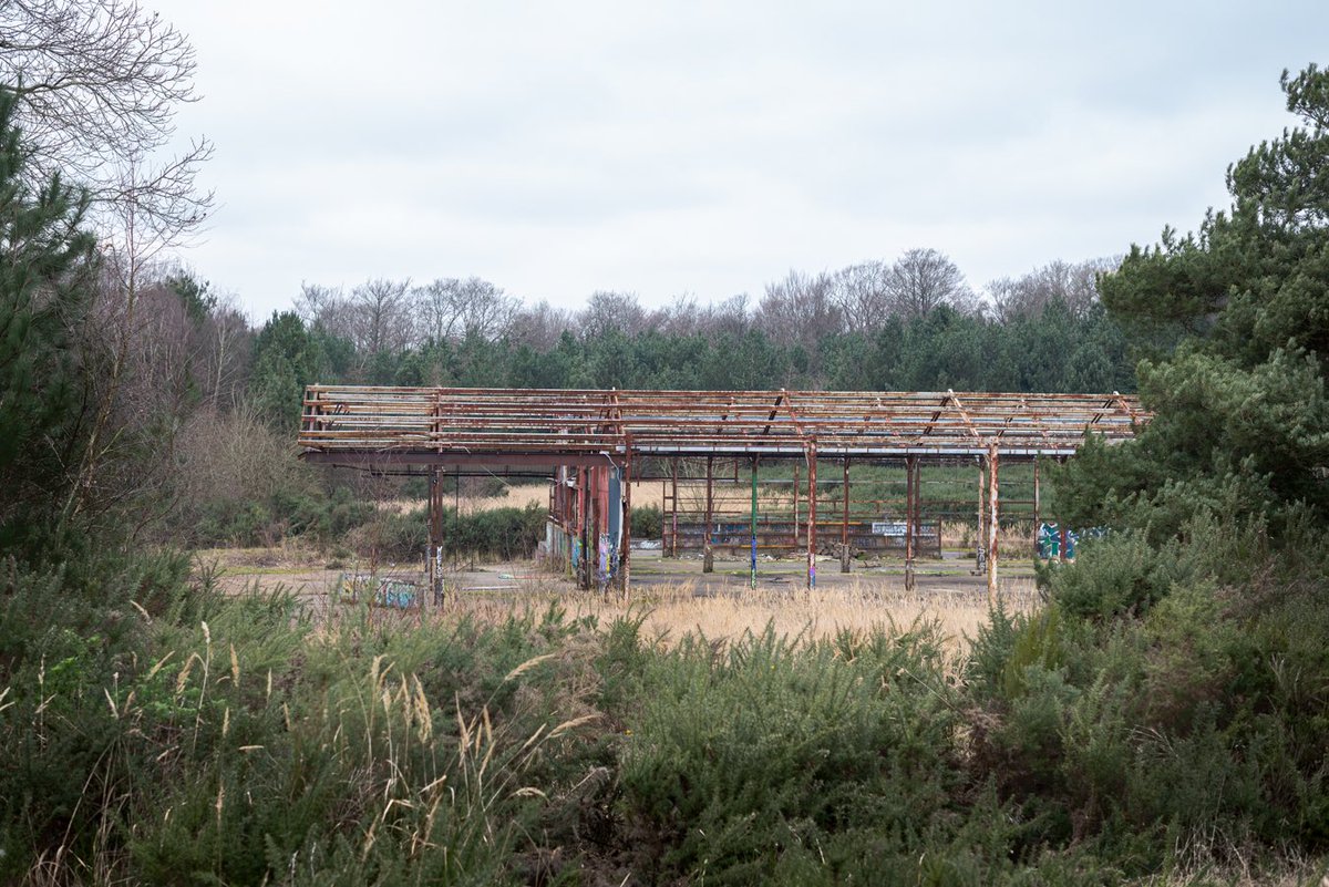 DeanFrostUK's tweet photo. Unexpected find where steel rusts and wood prospers. #woods #woodlands #abandoned #rusty #oldfactory #Discovery #NaturePhotography https://t.co/CHUR5NDUMR