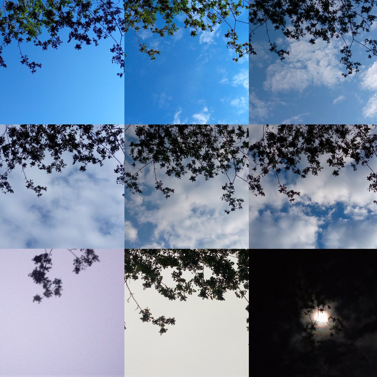 __salmayasser__'s tweet photo. There are people who are always in love with the sky, no matter the weather. One day you will find someone who will love you the same way. https://t.co/FDuoEvzLKn