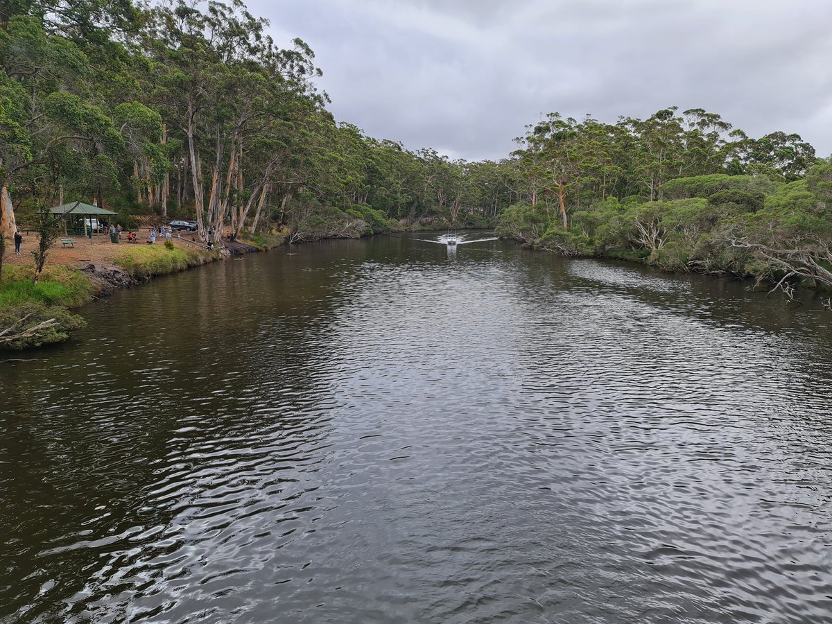 Planographer's tweet photo. 1 = up the #denmarkriver.
2 = down the denmark river.
#Denmark
#westernAustralia https://t.co/qRMaw1rnv0