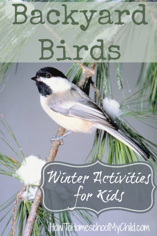 kerrybeck's tweet photo. Backyard Birds – Winter Activities for Kids
https://t.co/zwU9nYLLXK

What winter activities for kids or backyard birds activities will your family do this year? Let us know in the comments section👇
#Homeschooling #homeschoolingactivities https://t.co/szxJWrL7KI
