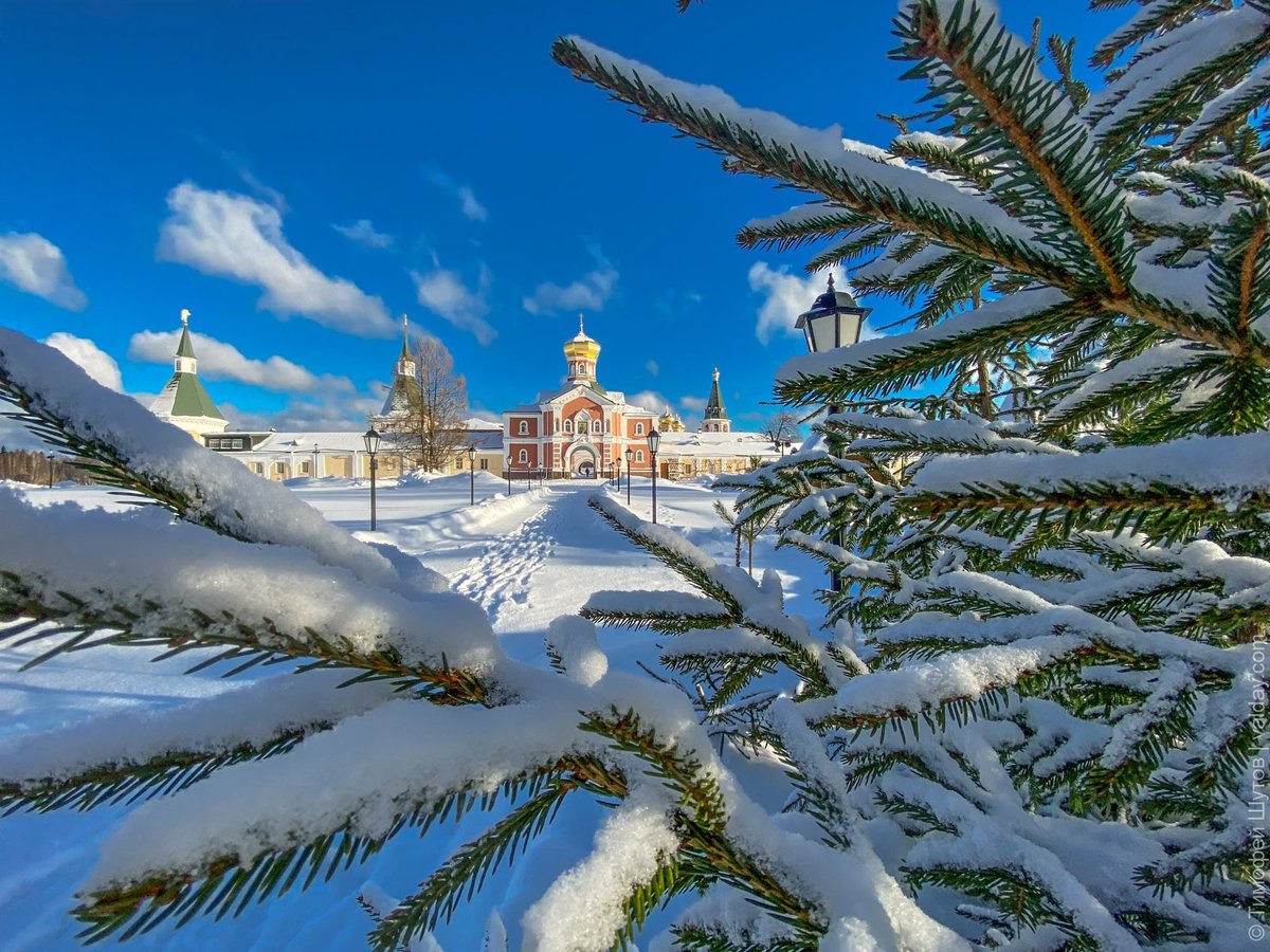 Rus_Novgorod tweet media