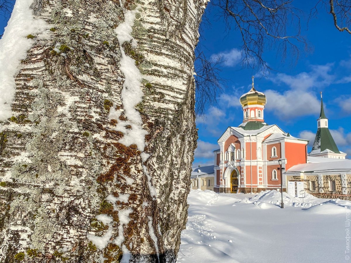 Rus_Novgorod tweet media