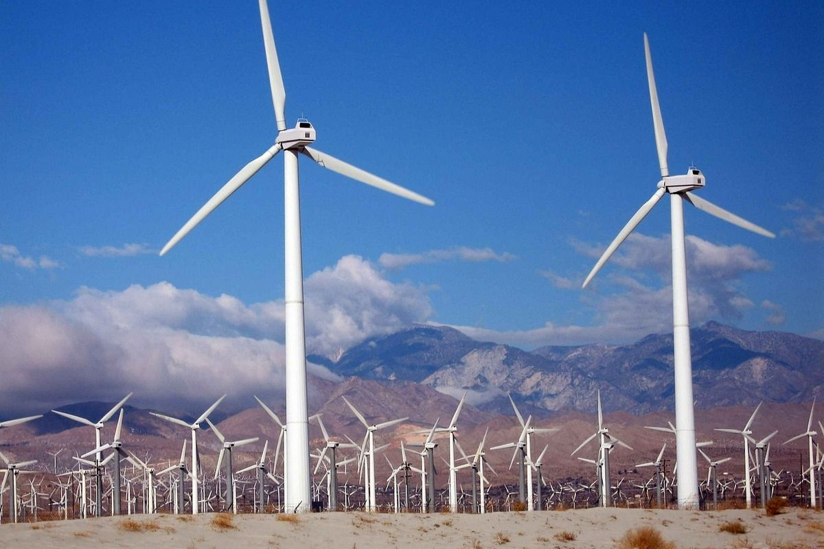 Энергия ветра как альтернативный источник энергии. Источники энергии животных. Ветроэнергетика. Ветровая электростанция. Ветроэлектростанция.