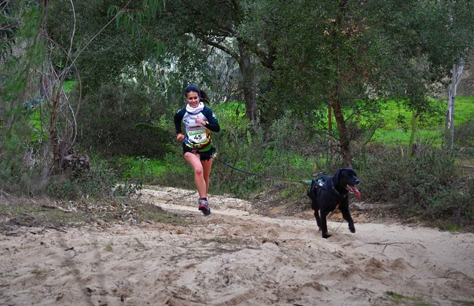 🐶 #Almonte acogió este fin de semana la prueba puntuable para la Copa de #Andalucía de #Mushing Tierra <a href="/FadiAndalucia/">FADI</a>, IV Mushing El Rocío, organizado por el Club Deportivo Mushing #Doñana y en la que participaron 80 deportistas nacionales 

#AndalucíaElLugarDelDeporte