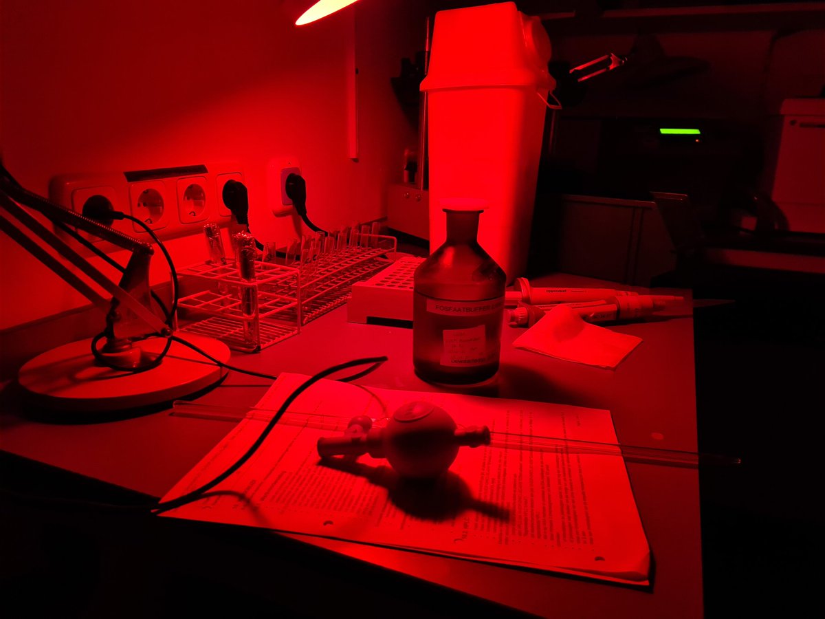 Bruce_TSHD's tweet photo. 5HIAA time!
#LabStuff #LabTech #laboratory https://t.co/1zmxQ2LgLe