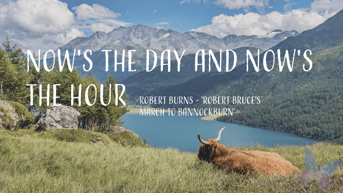 CallunaGraphix's tweet image. Now's the day and now's the hour - Robert Burns, 'Robert Bruce's March To Bannockburn'.  Wise words,  Happy Burns Night Everyone!

#burnsnight #motivation #sustainabledesign #greenerevents