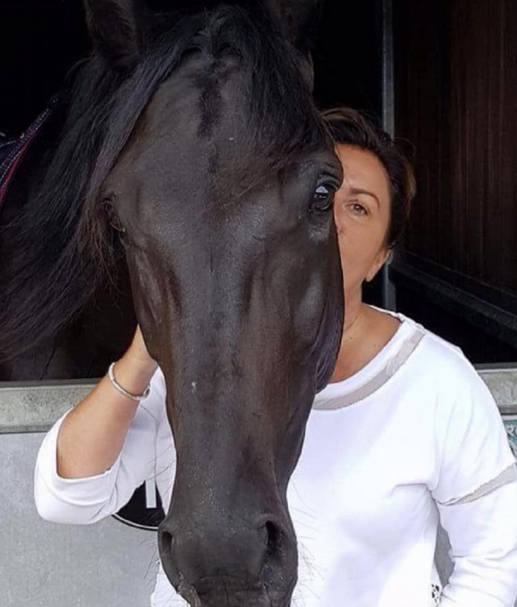 The other great passion, some Tuesday TLC at the stables

#horse #Horses #horsewhispering