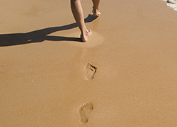 dfmooc's tweet photo. We don't always realise what we are leaving behind. Register for the Digital Footprint free online course from the University of Edinburgh https://t.co/ZKQ8HkB6GM #DFMOOC #DigitalFootprint https://t.co/0nbDFjuWG7