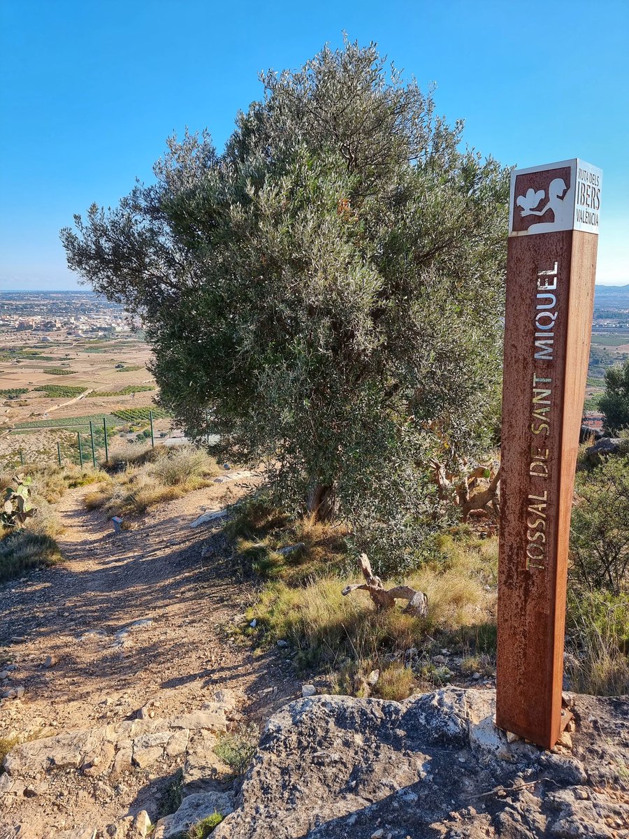 la-setmana-passada-vam-fer-la-senda-dels-tossals-de-ll-ria-valencia