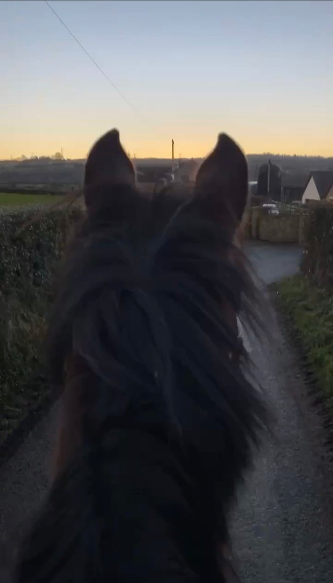 More  #TechtimeoutTuesday #digitaldetox from us <a href="/Moneypenny/">Moneypenny</a> HQ

Horse riding on a Tuesday morning, YES please! What a fabulous way to start the day from Pascale in our Corporate Team! Look at those ears 😍

Let us know what you're up to for your <a href="/techtime_out/">techtimeout</a>