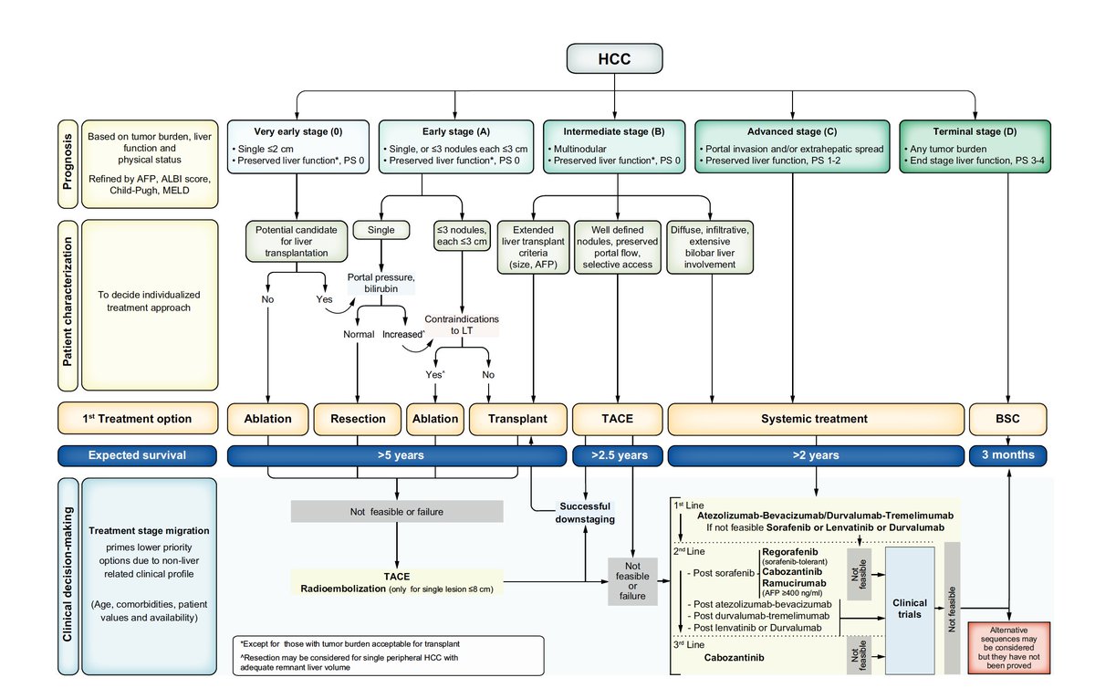 BCLC GROUP (@bclc_group) on Twitter photo Final proof of BCLC 2022 with nice fig is available at authors.elsevier.com/c/1eTm3cOnAJDmS.
Shared effort always pays off!! <a href="/hospitalclinic/">Hospital Clínic</a> <a href="/idibaps/">IDIBAPS</a> @CIBERehd <a href="/EASLnews/">EASLnews</a> <a href="/AASLDtweets/">AASLD</a> <a href="/ILCAnews/">ILCA</a> <a href="/ASCO/">ASCO</a> <a href="/myESMO/">ESMO - Eur. Oncology</a> <a href="/AEEHLiver/">Asociación Española para el Estudio del Hígado</a> <a href="/_SEOM/">SEOM</a> <a href="/EuropeLiver/">European Liver Patients' Association</a> <a href="/SERAM_RX/">SERAM - Sociedad Española de Radiología Médica</a> <a href="/SERVEISoc/">SERVEI - Radiología Vascular Intervencionista</a> <a href="/aecirujanos/">aecirujanos</a> <a href="/SETHepatico/">SETH</a> Final proof of BCLC 2022 with nice fig is available at authors.elsevier.com/c/1eTm3cOnAJDmS.
Shared effort always pays off!! <a href="/hospitalclinic/">Hospital Clínic</a> <a href="/idibaps/">IDIBAPS</a> @CIBERehd <a href="/EASLnews/">EASLnews</a> <a href="/AASLDtweets/">AASLD</a> <a href="/ILCAnews/">ILCA</a> <a href="/ASCO/">ASCO</a> <a href="/myESMO/">ESMO - Eur. Oncology</a> <a href="/AEEHLiver/">Asociación Española para el Estudio del Hígado</a> <a href="/_SEOM/">SEOM</a> <a href="/EuropeLiver/">European Liver Patients' Association</a> <a href="/SERAM_RX/">SERAM - Sociedad Española de Radiología Médica</a> <a href="/SERVEISoc/">SERVEI - Radiología Vascular Intervencionista</a> <a href="/aecirujanos/">aecirujanos</a> <a href="/SETHepatico/">SETH</a>