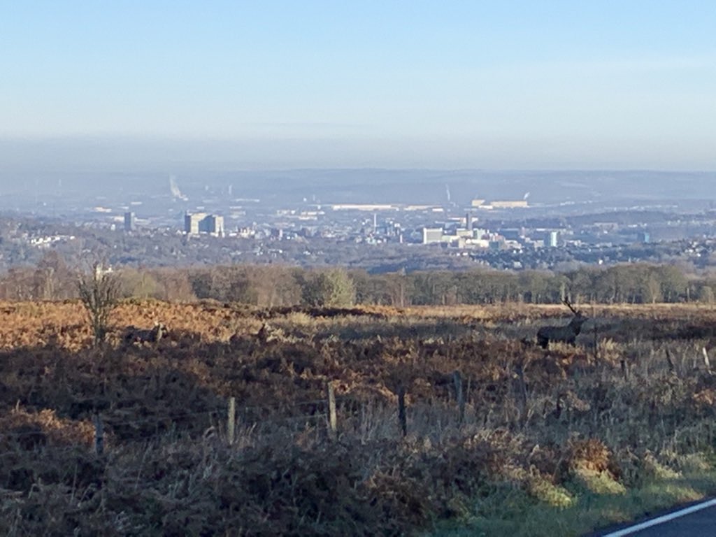 Jake Patterson (@jake_p76) on Twitter photo An excellent opportunity has arisen for a Stone surgeon to come and join our department in Sheffield! <a href="/theoutdoorcity/">The Outdoor City</a> <a href="/STHUrology/">STH Urology</a> <a href="/SheffieldHosp/">Sheffield Hospitals</a>
Great colleagues, great lifestyle, get in touch!! #goteamendo
beta.jobs.nhs.uk/candidate/joba…
Come and join us in the UK’s greenest city! An excellent opportunity has arisen for a Stone surgeon to come and join our department in Sheffield! <a href="/theoutdoorcity/">The Outdoor City</a> <a href="/STHUrology/">STH Urology</a> <a href="/SheffieldHosp/">Sheffield Hospitals</a>
Great colleagues, great lifestyle, get in touch!! #goteamendo
beta.jobs.nhs.uk/candidate/joba…
Come and join us in the UK’s greenest city!