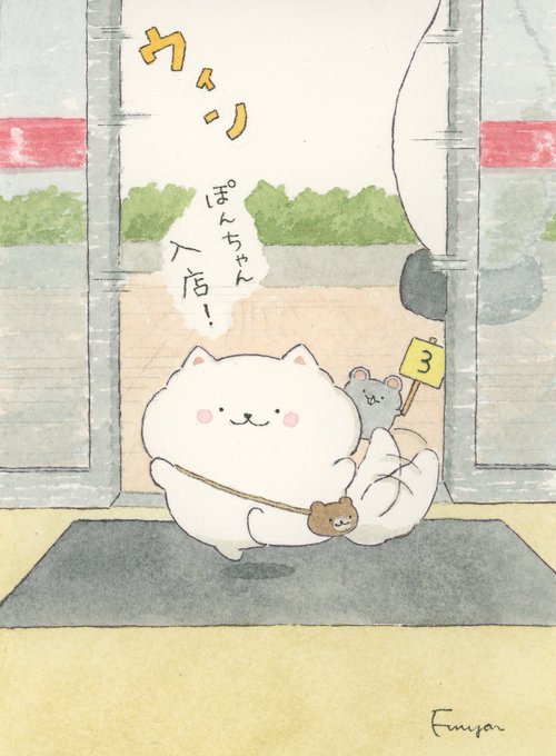 ぽんちゃん入店しまーす! 