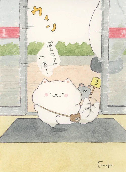 ぽんちゃん入店しまーす! 