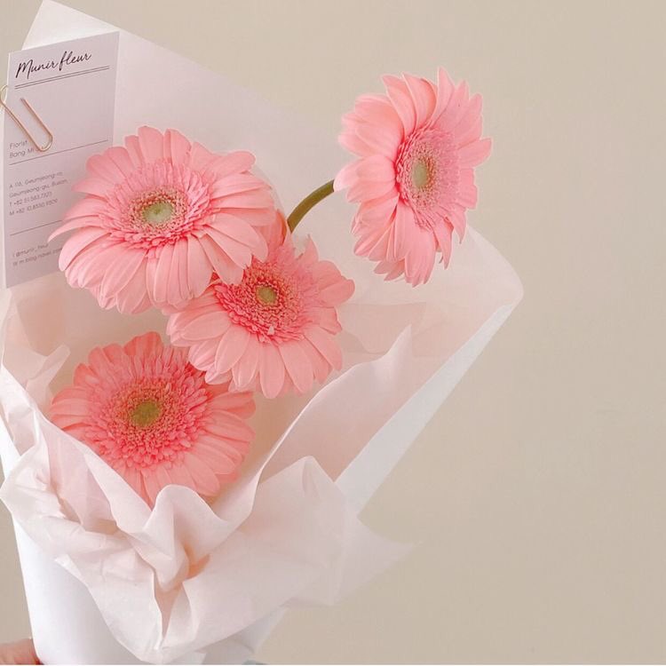 Aheye🌷 tweet media