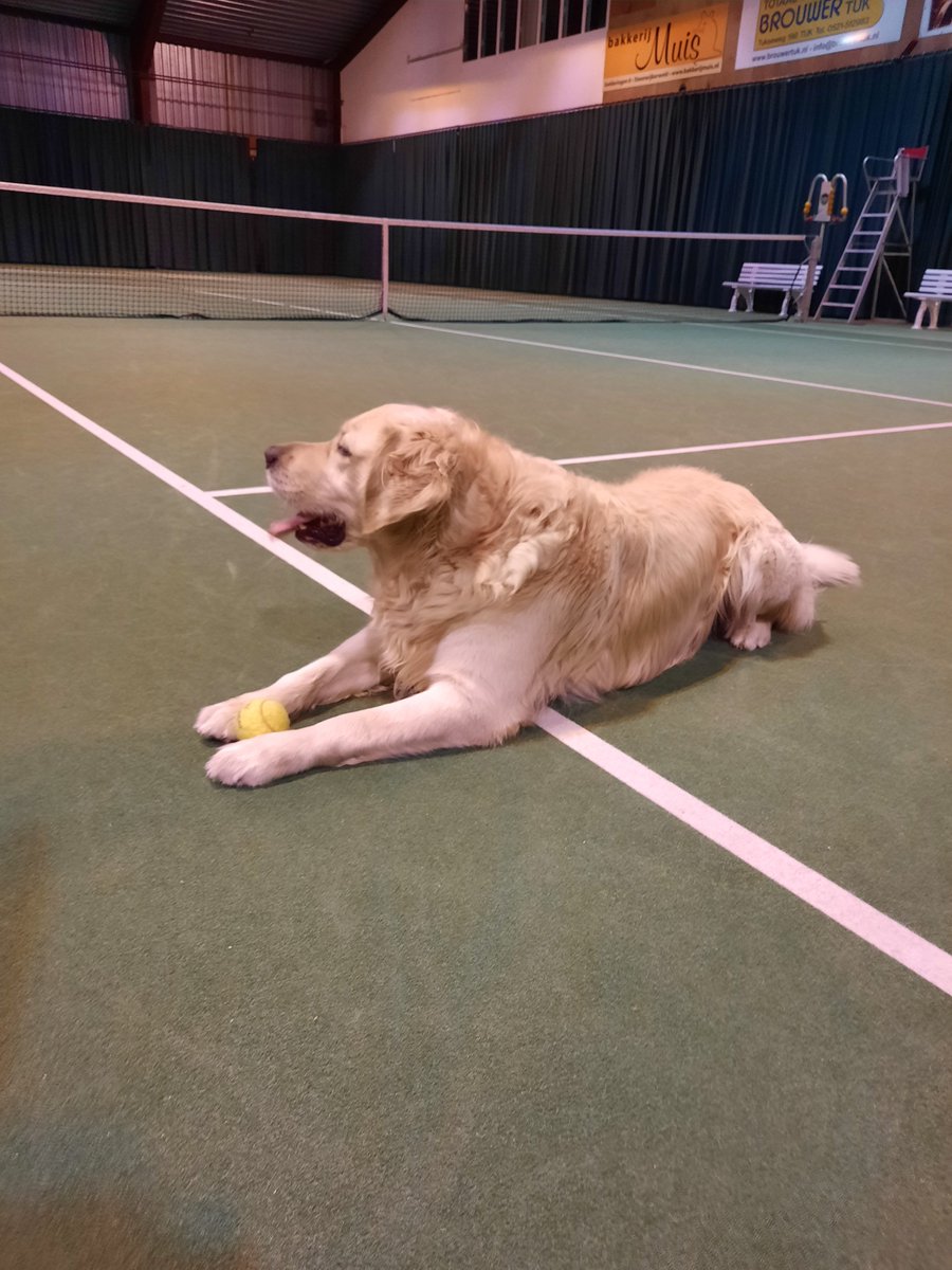 Tennis Squash.  Indoor #daarwordjeblijvan