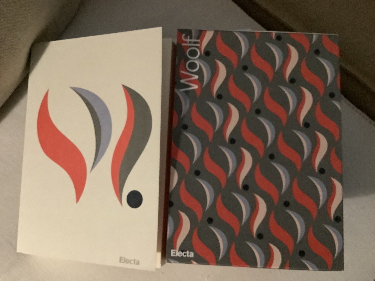 rosannacappelli's tweet photo. @ElectaEditore #Fusini https://t.co/3dMwEIPPkj