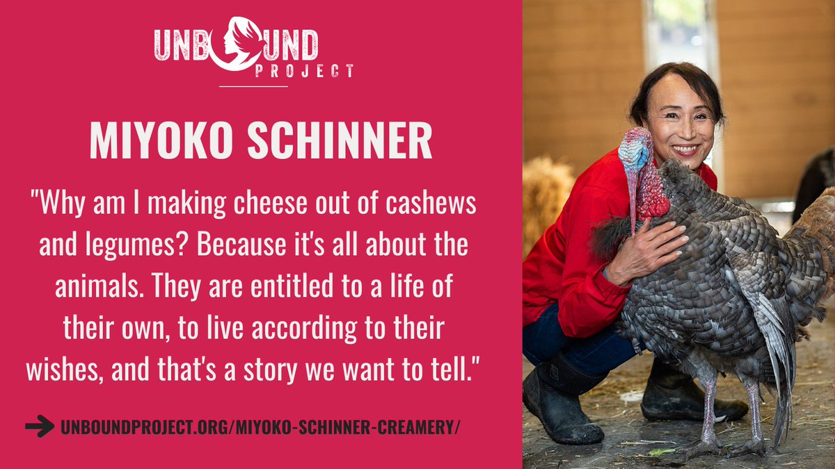 unboundproject's tweet photo. ICYMI! 👀 

Our latest #UnboundProject feature is @MiyokoSchinner, the “Queen of #VeganCheese” herself. 

You may know and love @MiyokosCreamery butter and cheeses, but do you know about the woman behind the brand? 

Watch her feature ➡️ https://t.co/ccX9siMh0Y

#Vegan #Veganism https://t.co/FeF0uNtcNM
