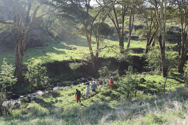 StanfordsTravel's tweet photo. 🚨🆕 Stanfords Travel Blog Post

Walking Safaris in the Wild Heart of Kenya.

Author Denis Costello follows the tracks to Kenya’s finest walking safari destination:

https://t.co/LYaHFFOkrj https://t.co/djShtl4d5l