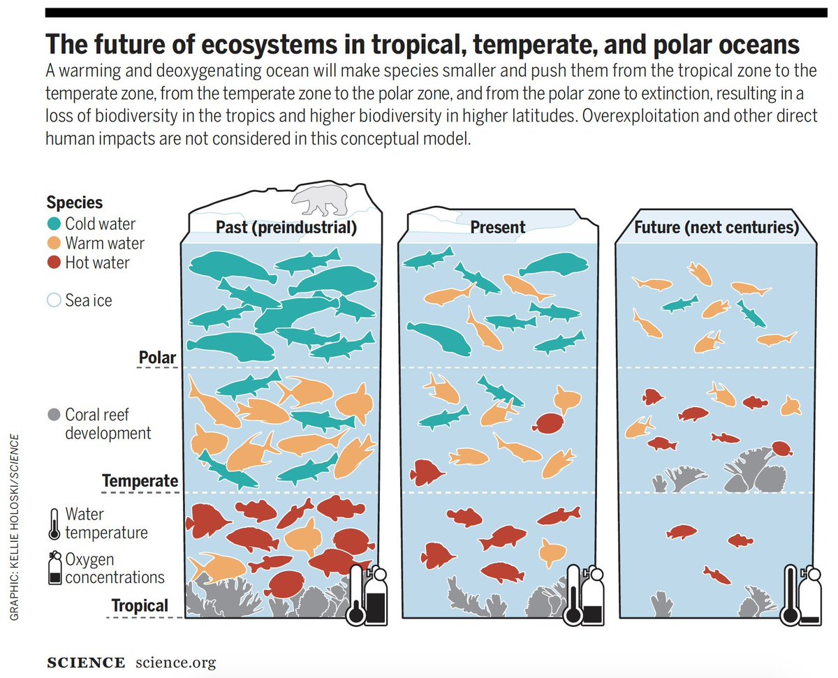 ipbes (@ipbes) on Twitter photo In the ocean, the most powerful impacts of #ClimateChange may not be as immediately evident as storms and wildfires on land.
So what does the future of our ocean ecosystem and biodiversity look like?💭🐟
Learn more w/<a href="/DrMoriartyY/">Moriaki Yasuhara</a> <a href="/ScienceMagazine/">Science Magazine</a> science.org/doi/10.1126/sc… In the ocean, the most powerful impacts of #ClimateChange may not be as immediately evident as storms and wildfires on land.
So what does the future of our ocean ecosystem and biodiversity look like?💭🐟
Learn more w/<a href="/DrMoriartyY/">Moriaki Yasuhara</a> <a href="/ScienceMagazine/">Science Magazine</a> science.org/doi/10.1126/sc…