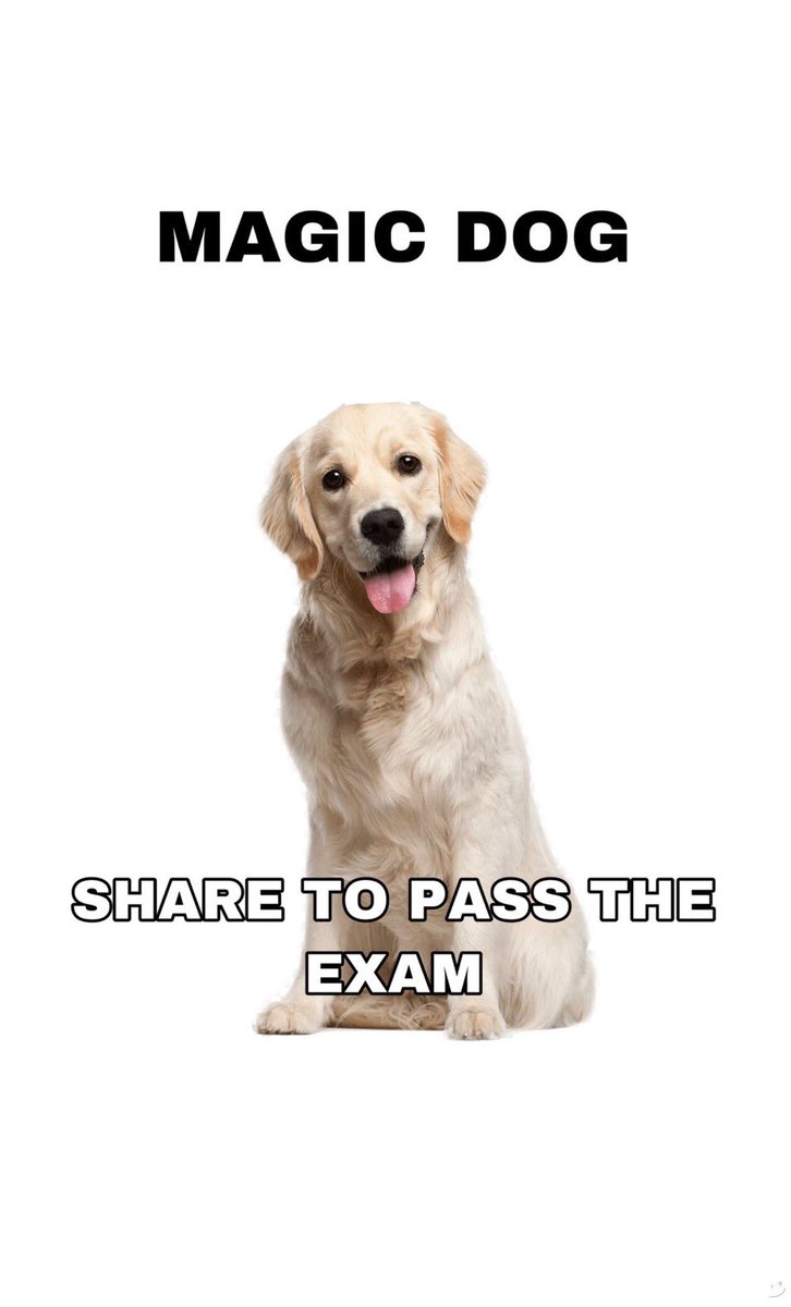 merakihar's tweet image. passare tutti gli esami in programma per questa sessione