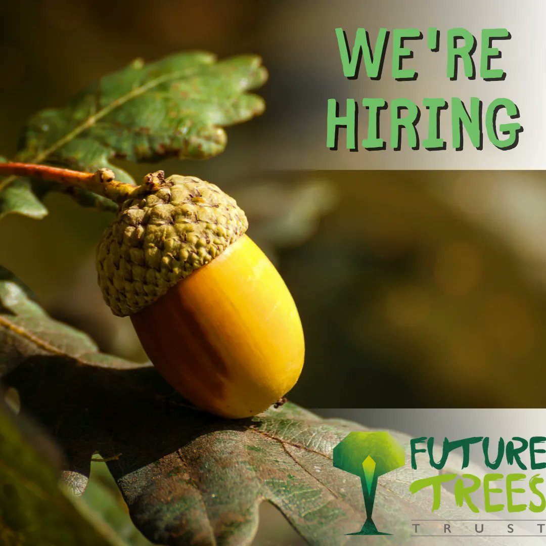FutureTreesUK's tweet image. We are looking for a new researcher - MSC/PHD Studentship opportunity.
For more information and how to apply - buff.ly/3AgsE6F #futuretrees #forestry #forestylife #forestryengland #forestryuk #trees #treesforlife #treesforthefuture #treeimprovement #timber #timbertrees