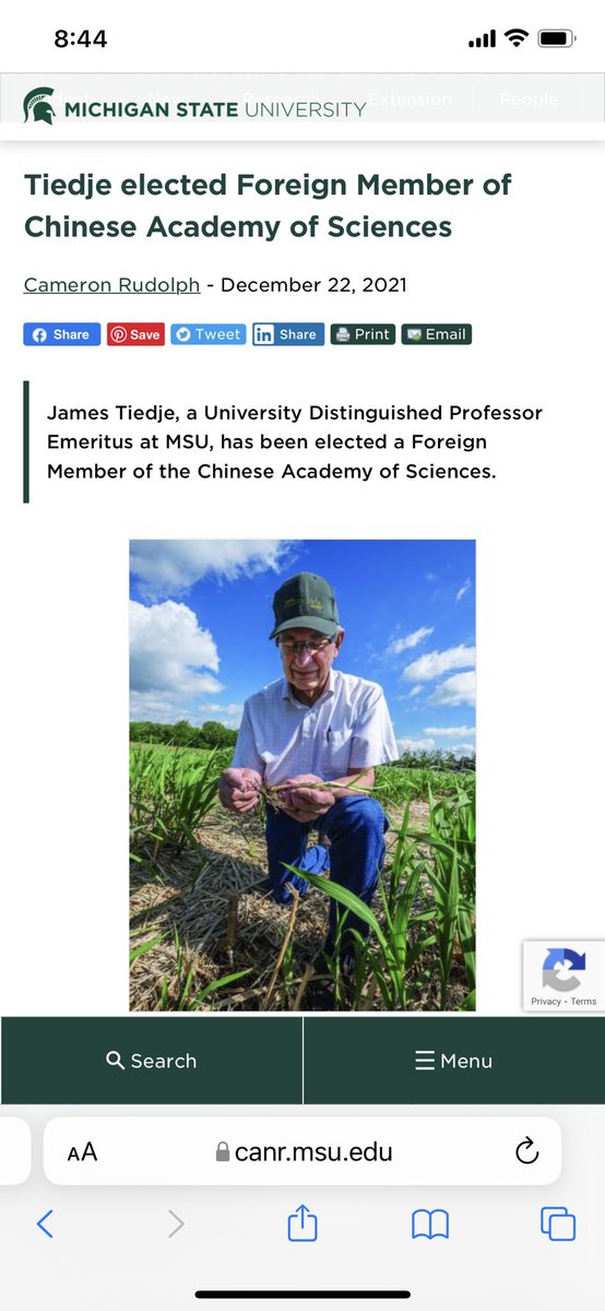 Zhang, Wei @ MSU tweet media